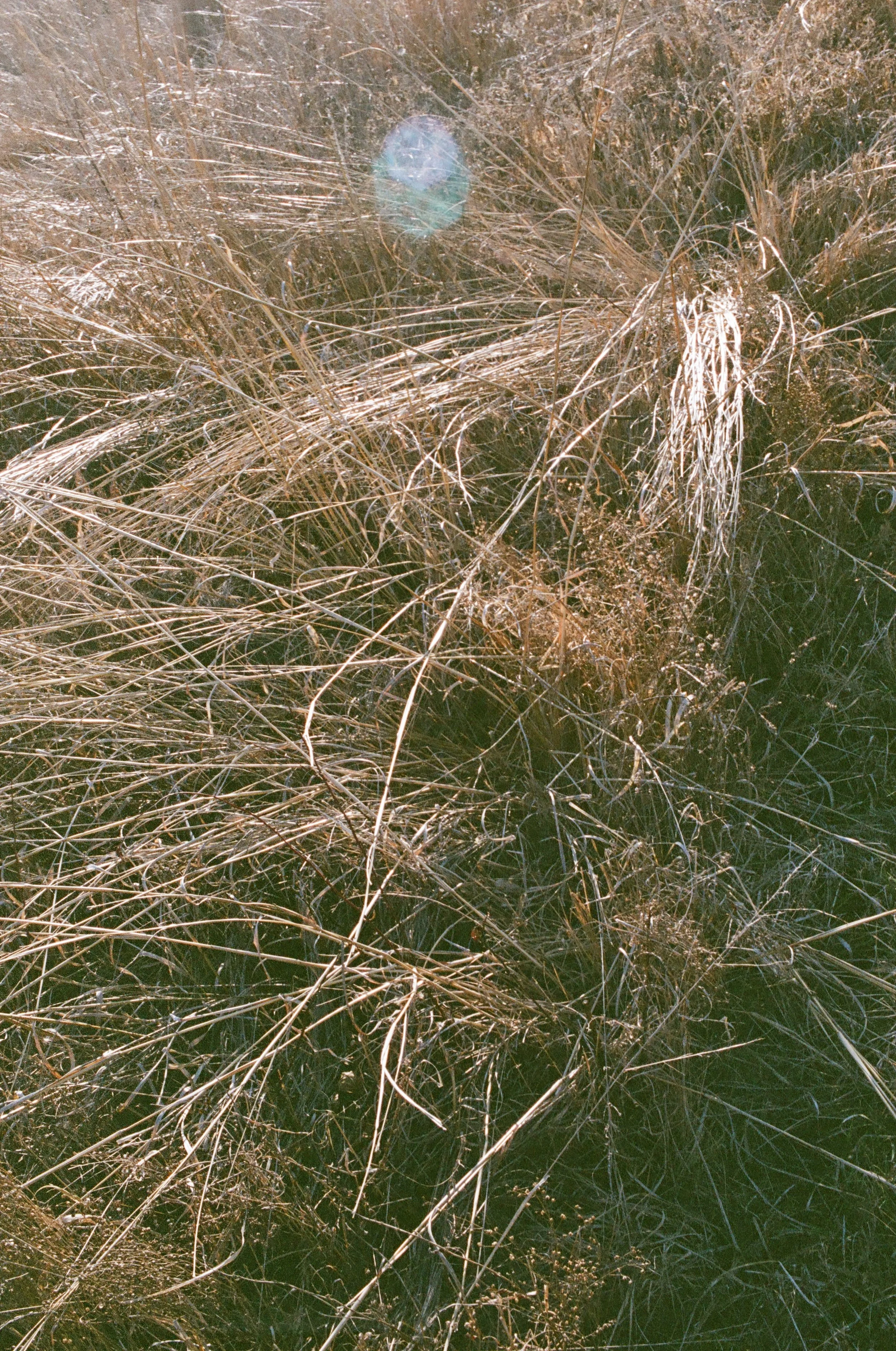 20250822_film_re_edits_0614.jpg