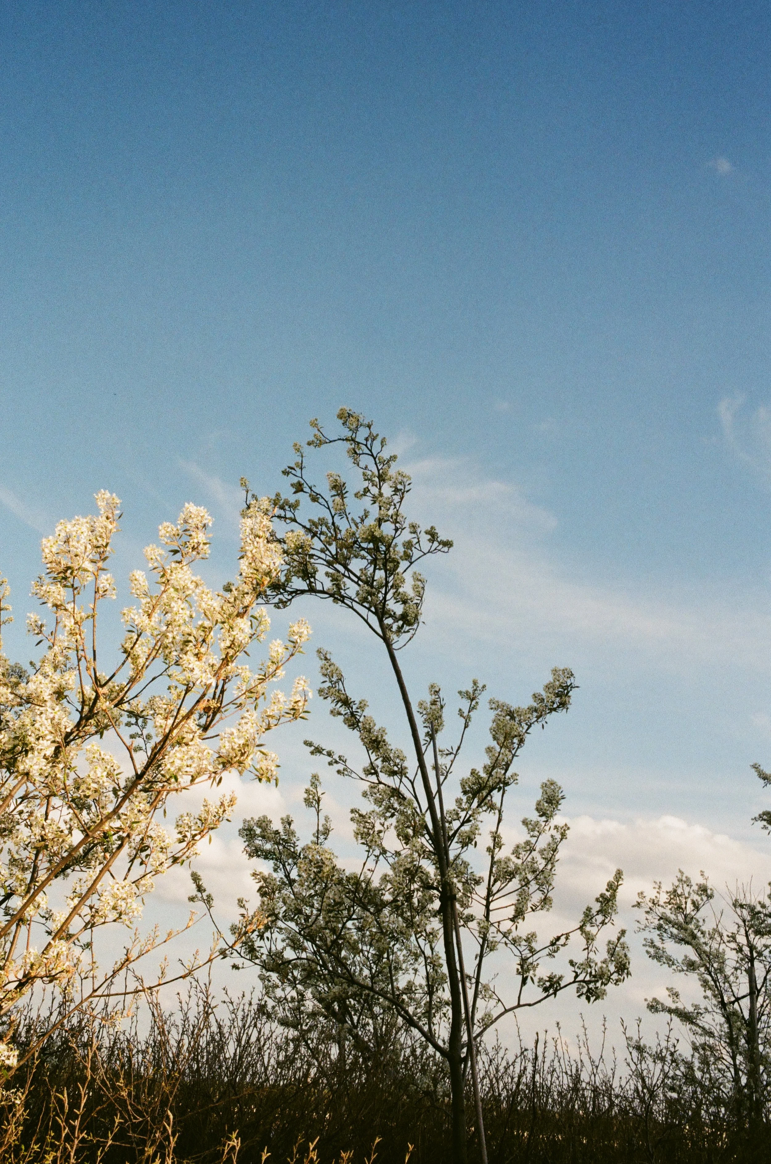 20250822_film_re_edits_0597.jpg