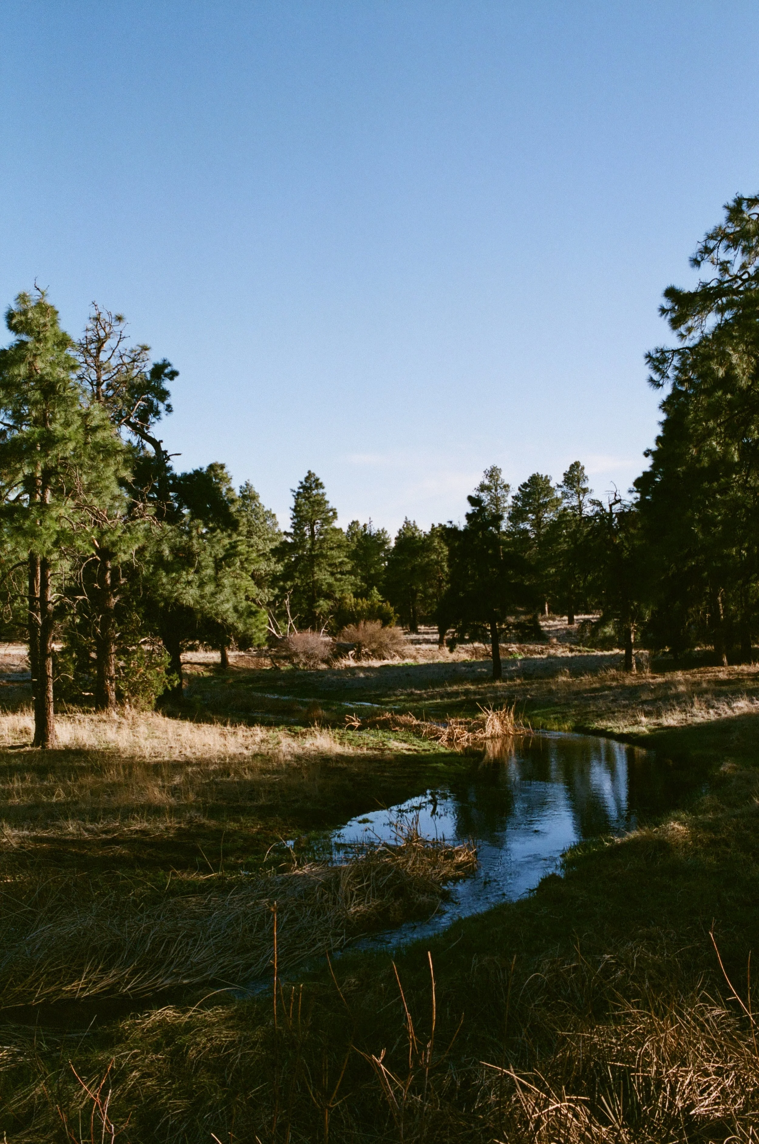 20250822_film_re_edits_0620.jpg