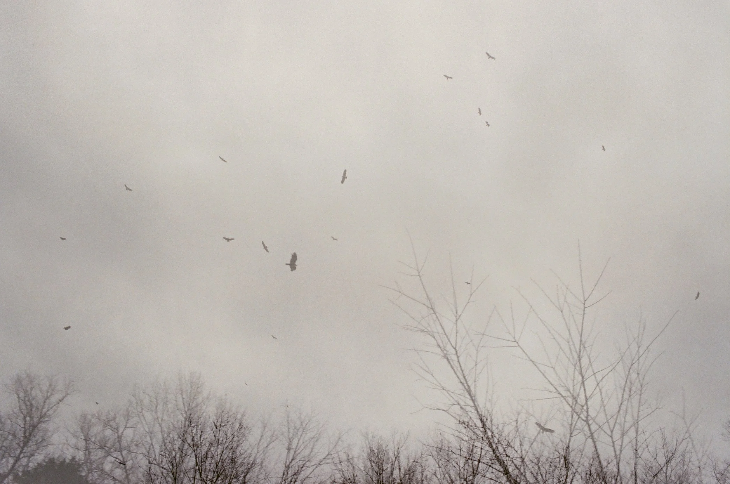 20250822_film_re_edits_0605.jpg