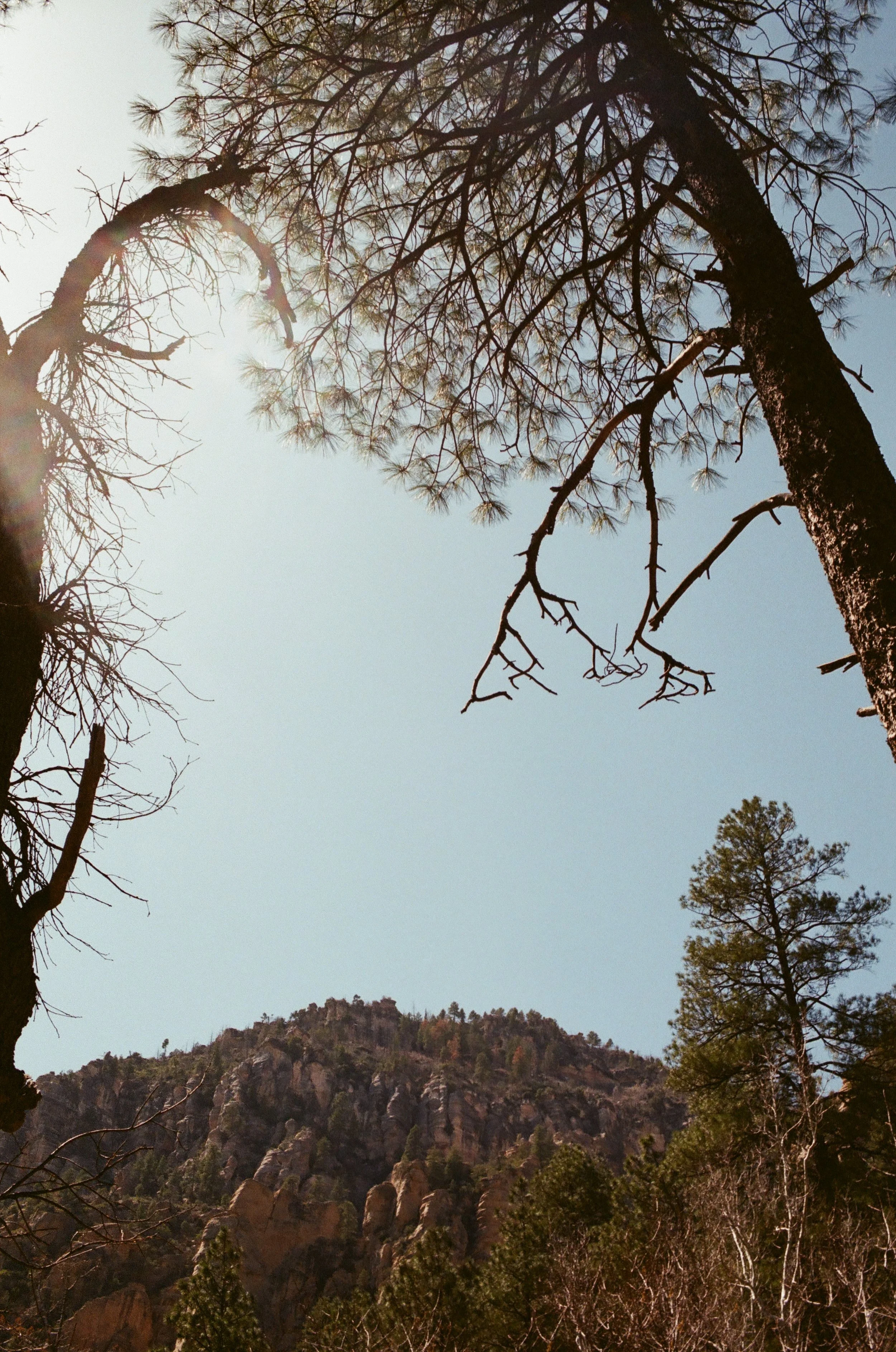 20250822_film_re_edits_0609.jpg