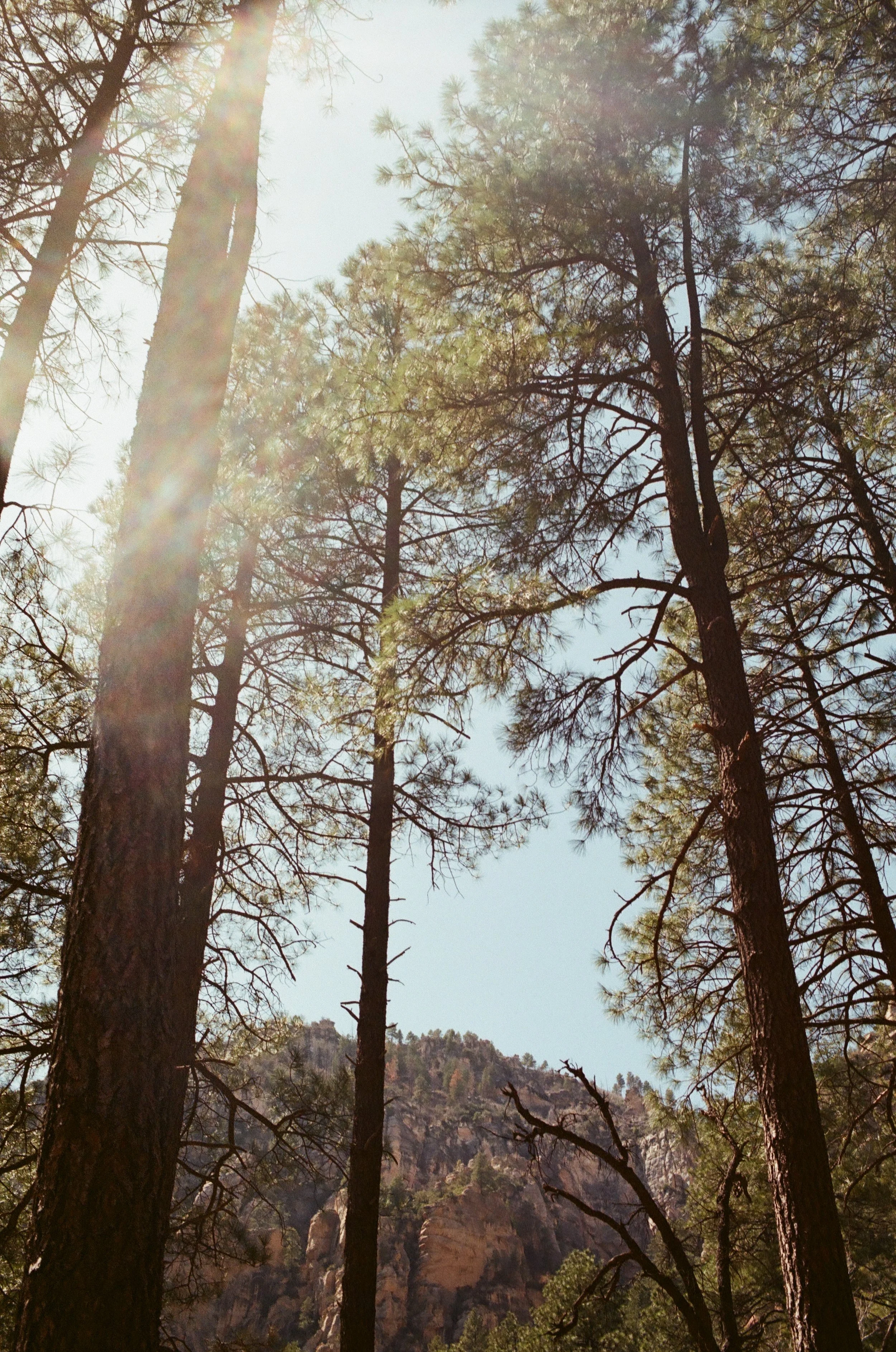 20250822_film_re_edits_0610.jpg