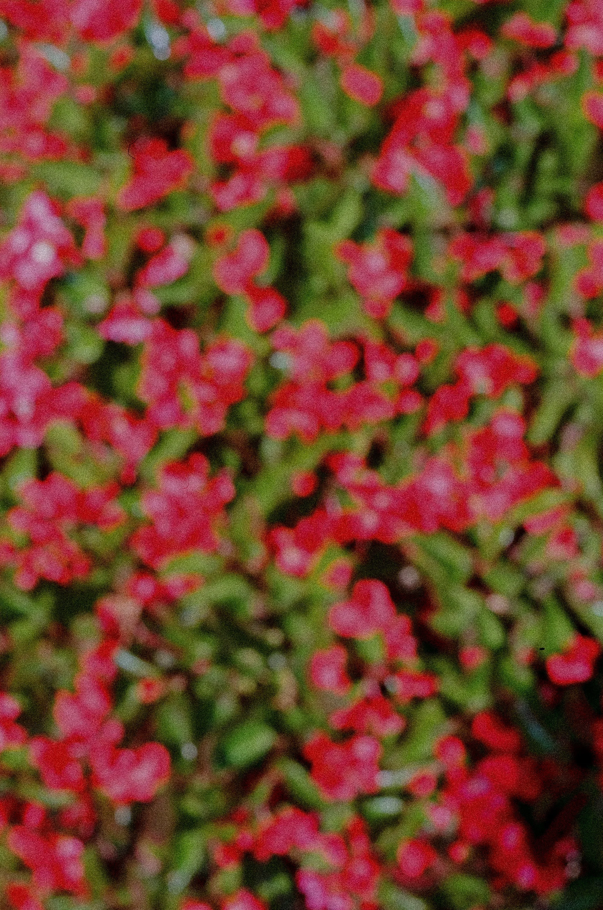 20250822_film_re_edits_0641.jpg