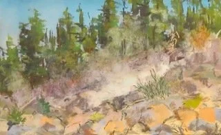 #8 Lassen Volcanic National Park, CA | October 2104 | Pastel on Paper | 9 x 12 

A poignant reminder all through the park. "Stay on the designated trails" Mother Earth Blowing off steam.