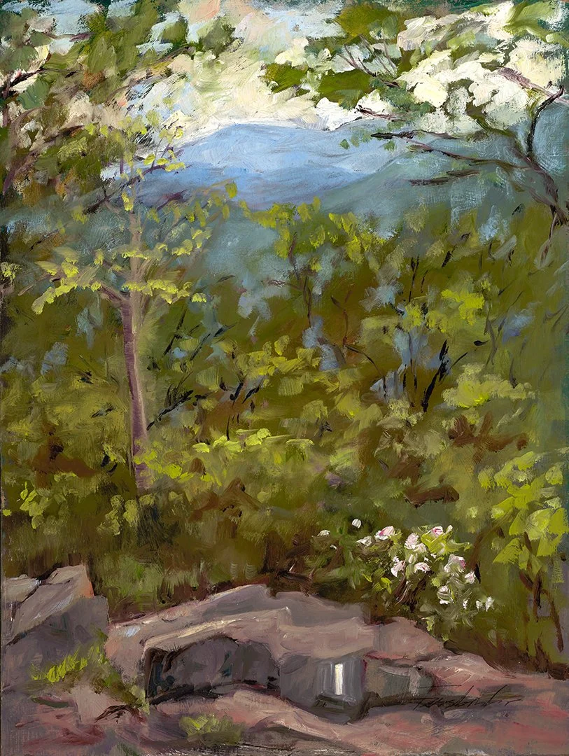 #31 Shenandoah National Park, VA | May 2016 | Oil on Panel | 14 x 11