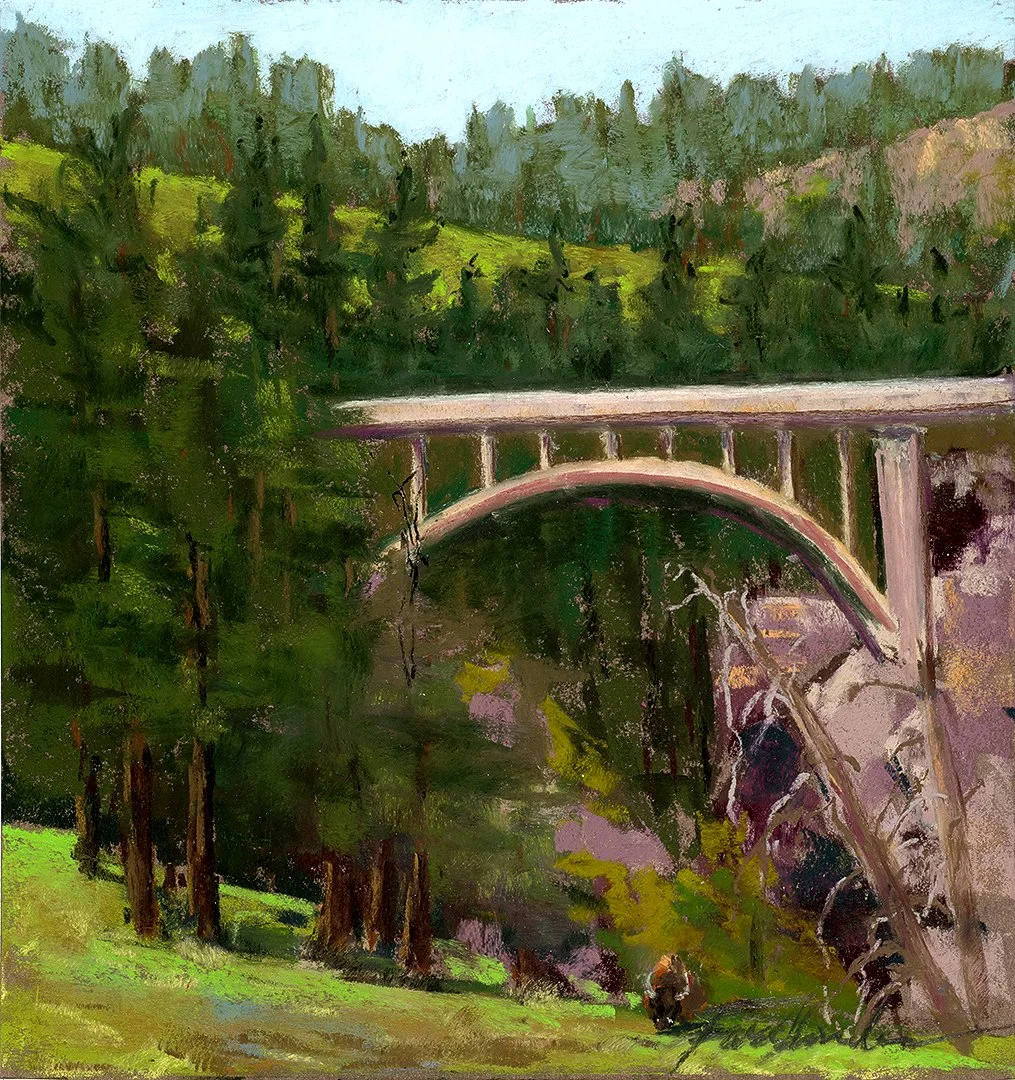 #4 Wind Cave National Park, SD | August 2014 | Pastel on Paper | 13 x 11