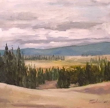 #44 Kobuk Valley National Park, AK | July 2017 | Pastel on Paper | 13 x 11