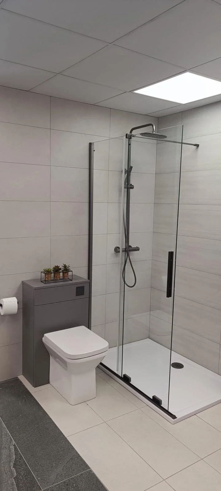 A modern bathroom with a walk-in shower, a toilet, and a small gray cabinet with potted plants on top.