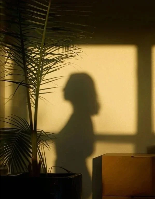 The shadow of a woman with curly hair cast on a yellow wall, next to a tall potted plant and a wooden piece of furniture, with sunlight coming through a window.