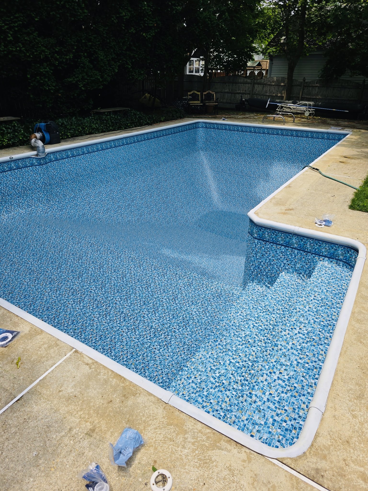 Aster Ocean Breeze 6.12.25.JPG