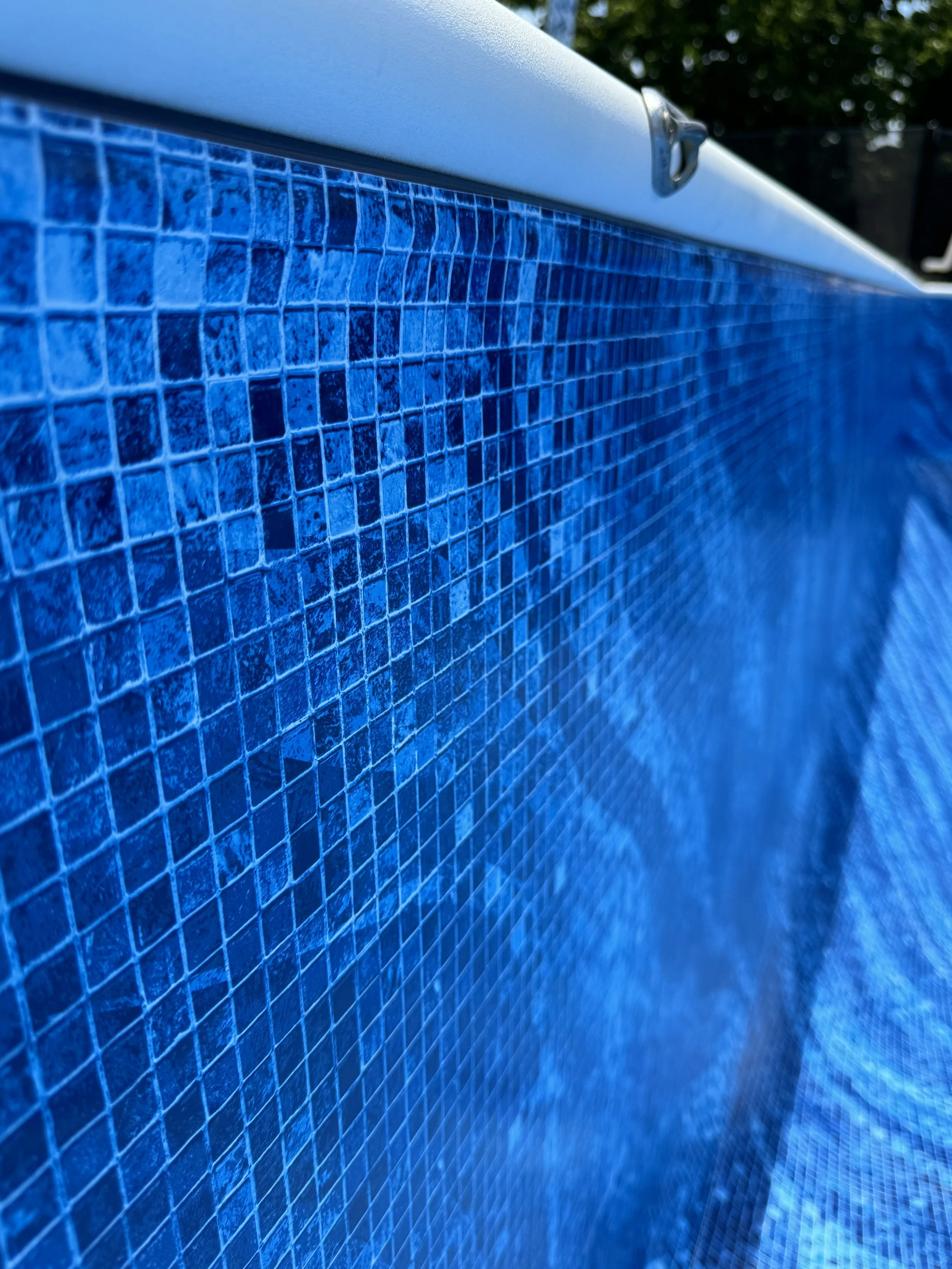 Sea Dreams IMG_5125.JPG