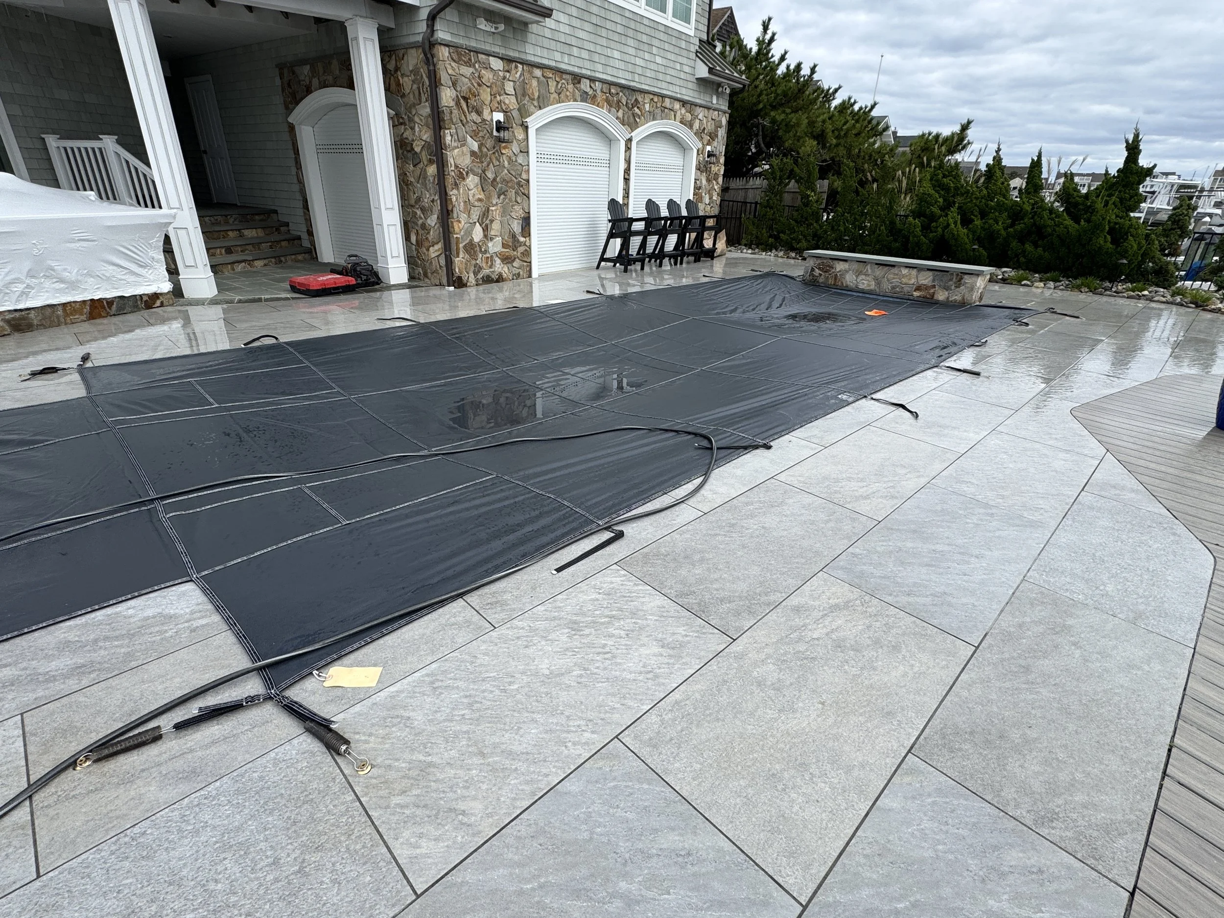Grey IMG_1674.JPG