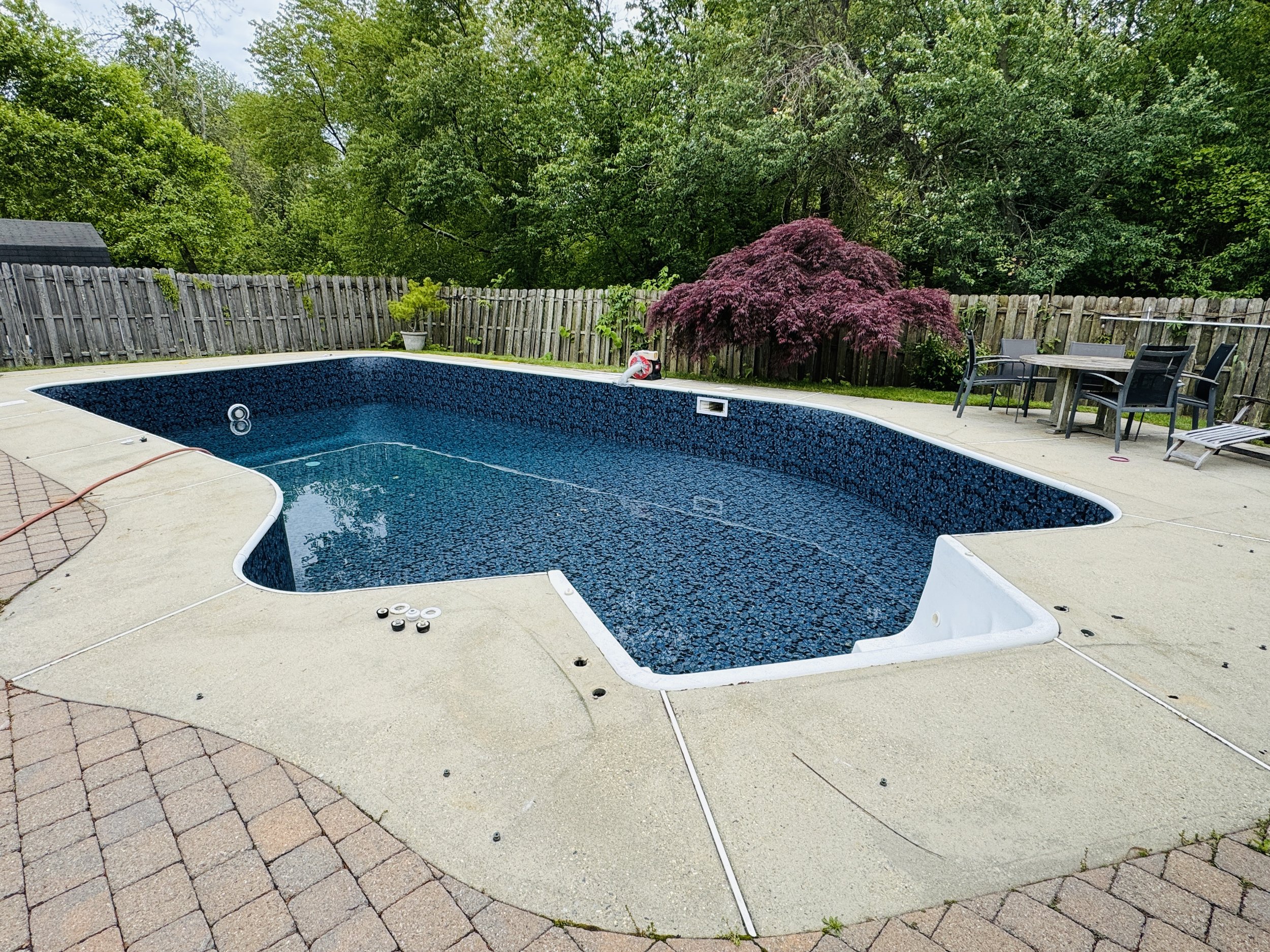 Neptune Butterfly FullSizeRender 2.JPG