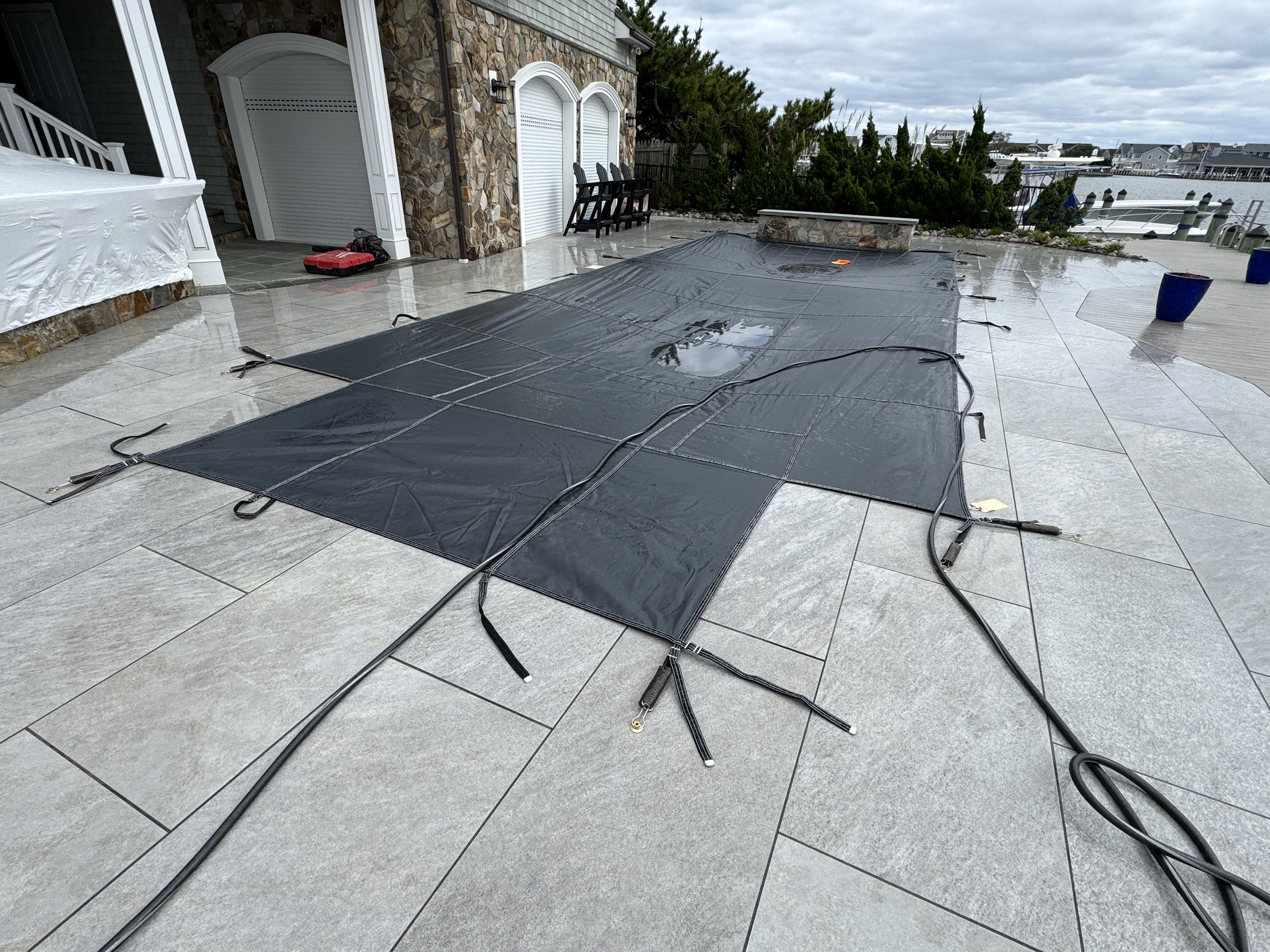 Grey IMG_1673.JPG