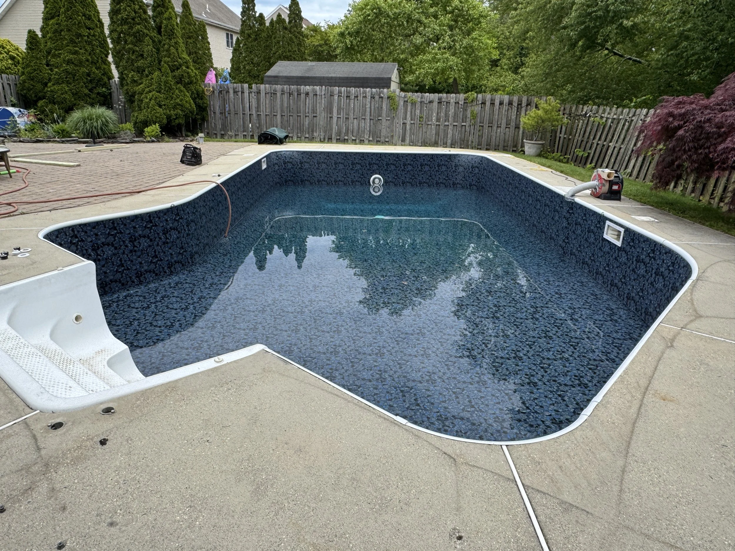 Neptune Butterfly IMG_9356 2.JPG