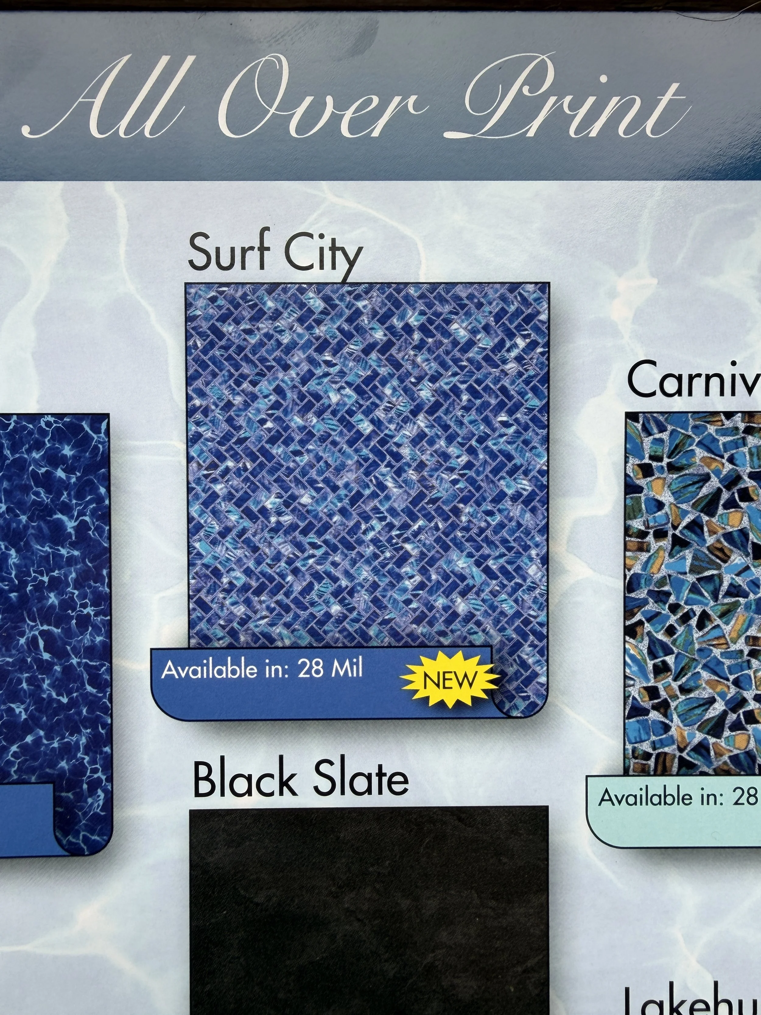 Surf City Brochure IMG_0349.JPG