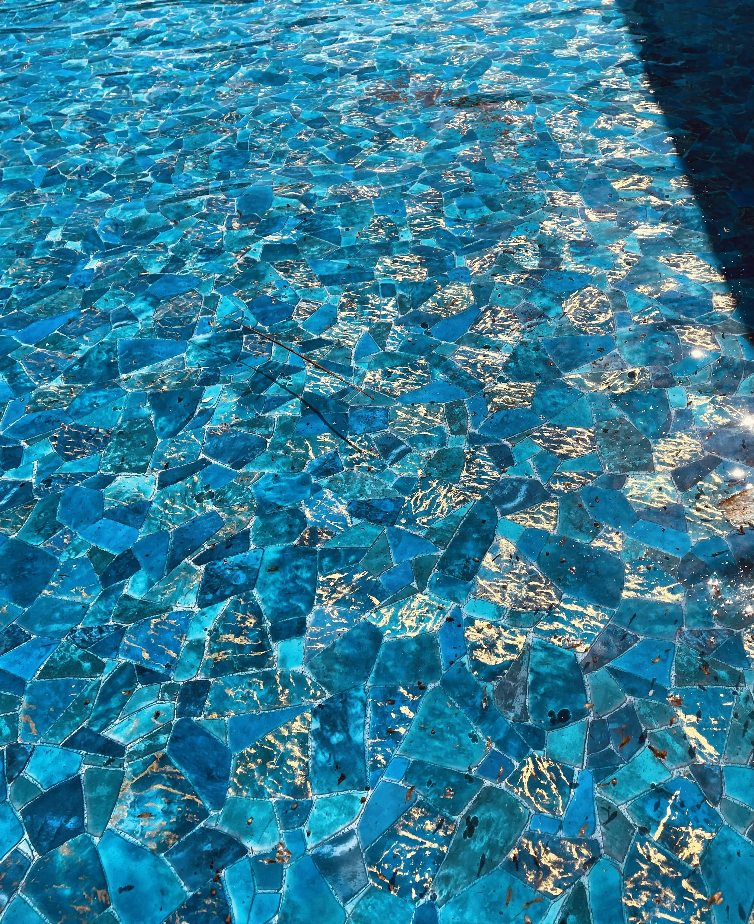 Monmouth Beach IMG_4456.JPG