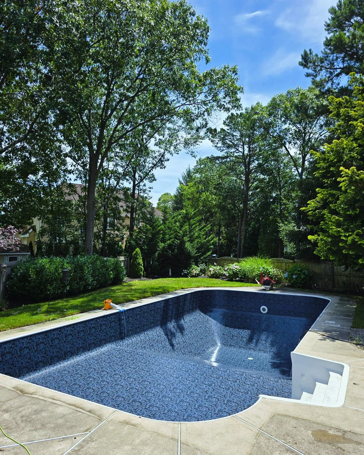 Neptune Butterfly_xxx.JPG