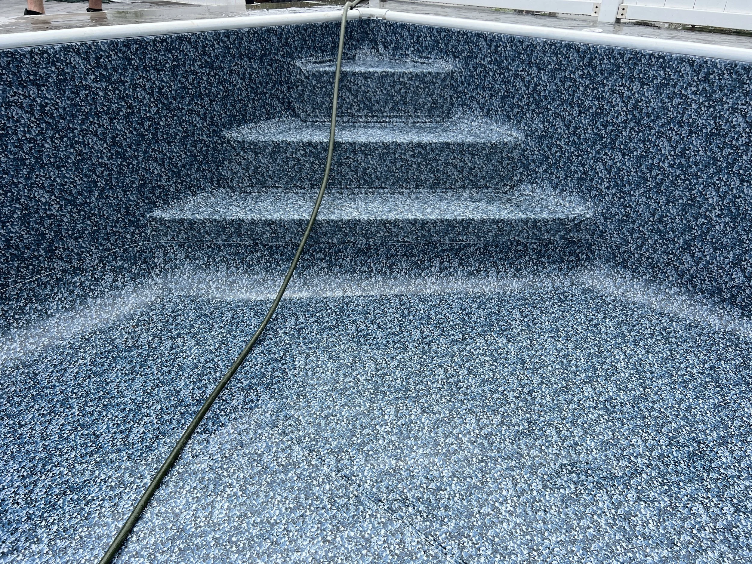 Grey Platinum IMG_6273.JPG