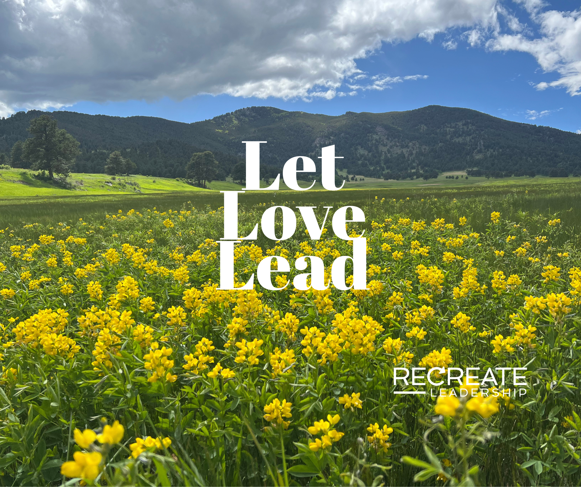 Let Love Lead