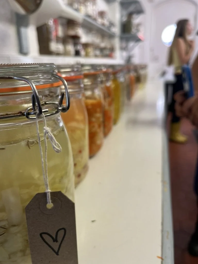 Full Day Class: Fermenting at Home