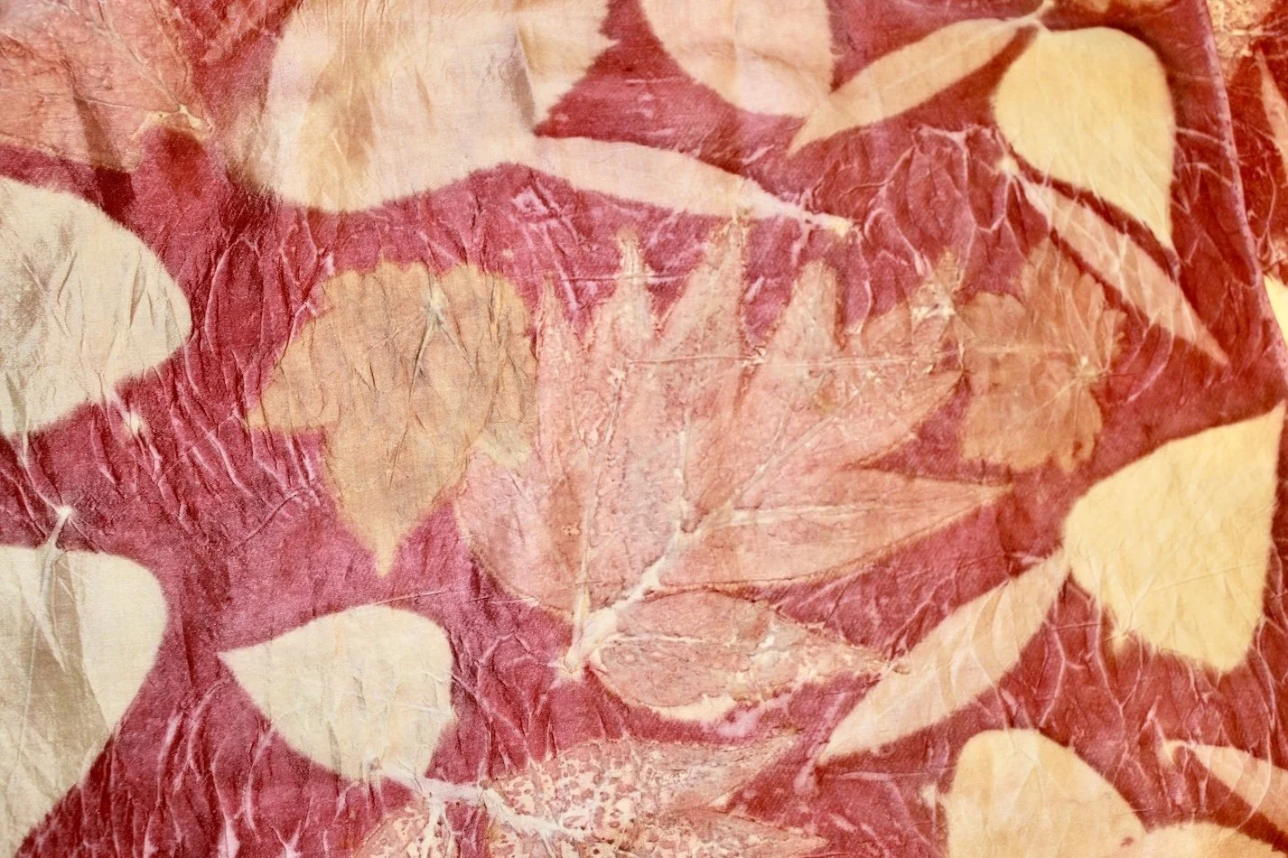 deep pinik detail.JPG