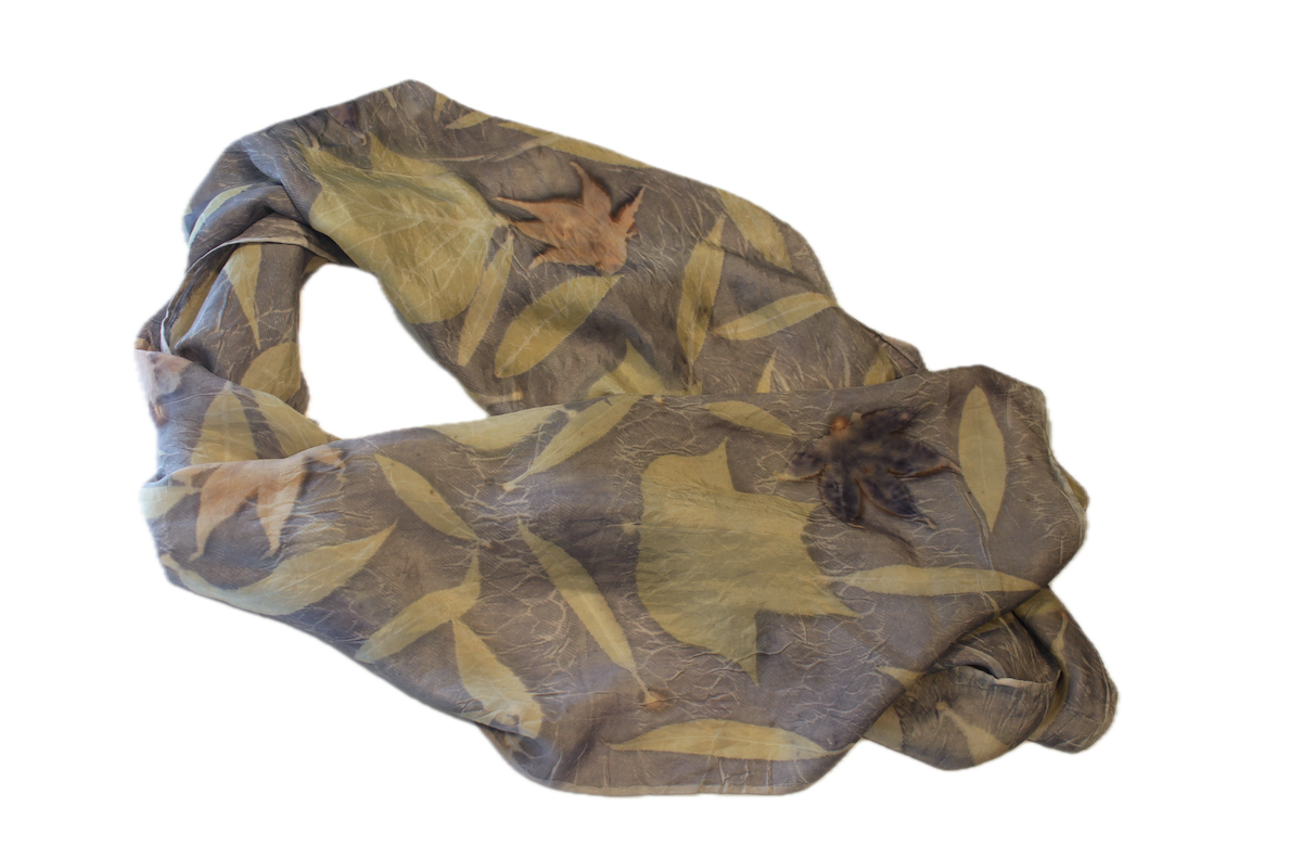 pale bvlue tulip maple flattish.png
