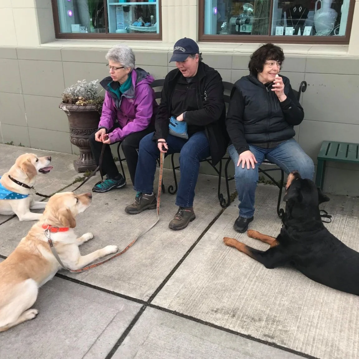 Three women sitting on a bench outside a storefront, with three dogs nearby, two sitting and one lying down.