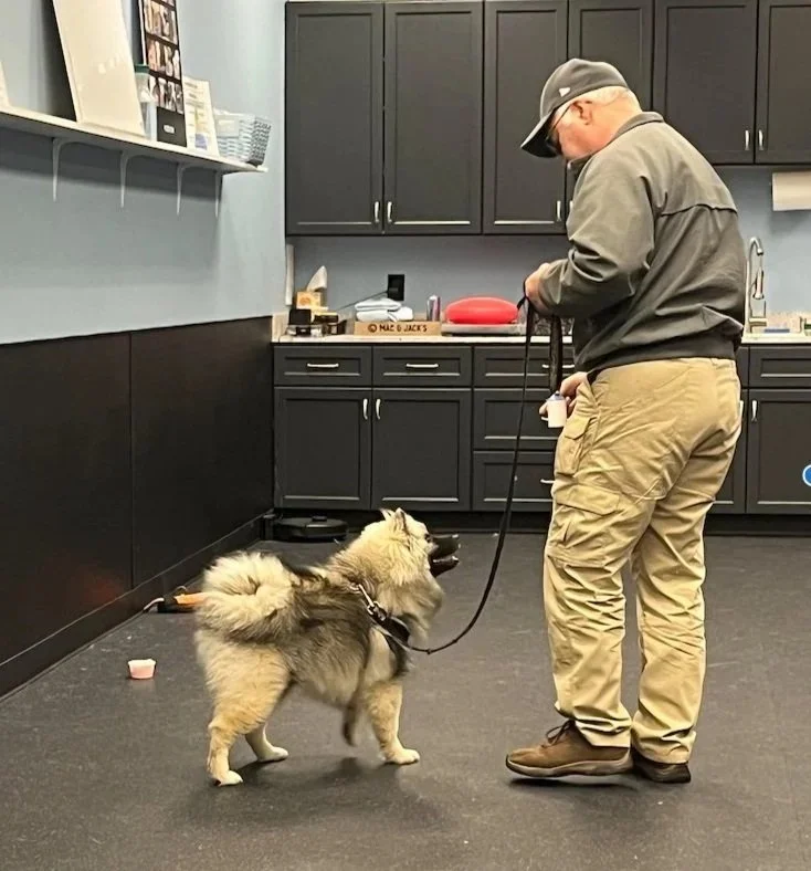 Walking his dog on a loose leash during dog manners class