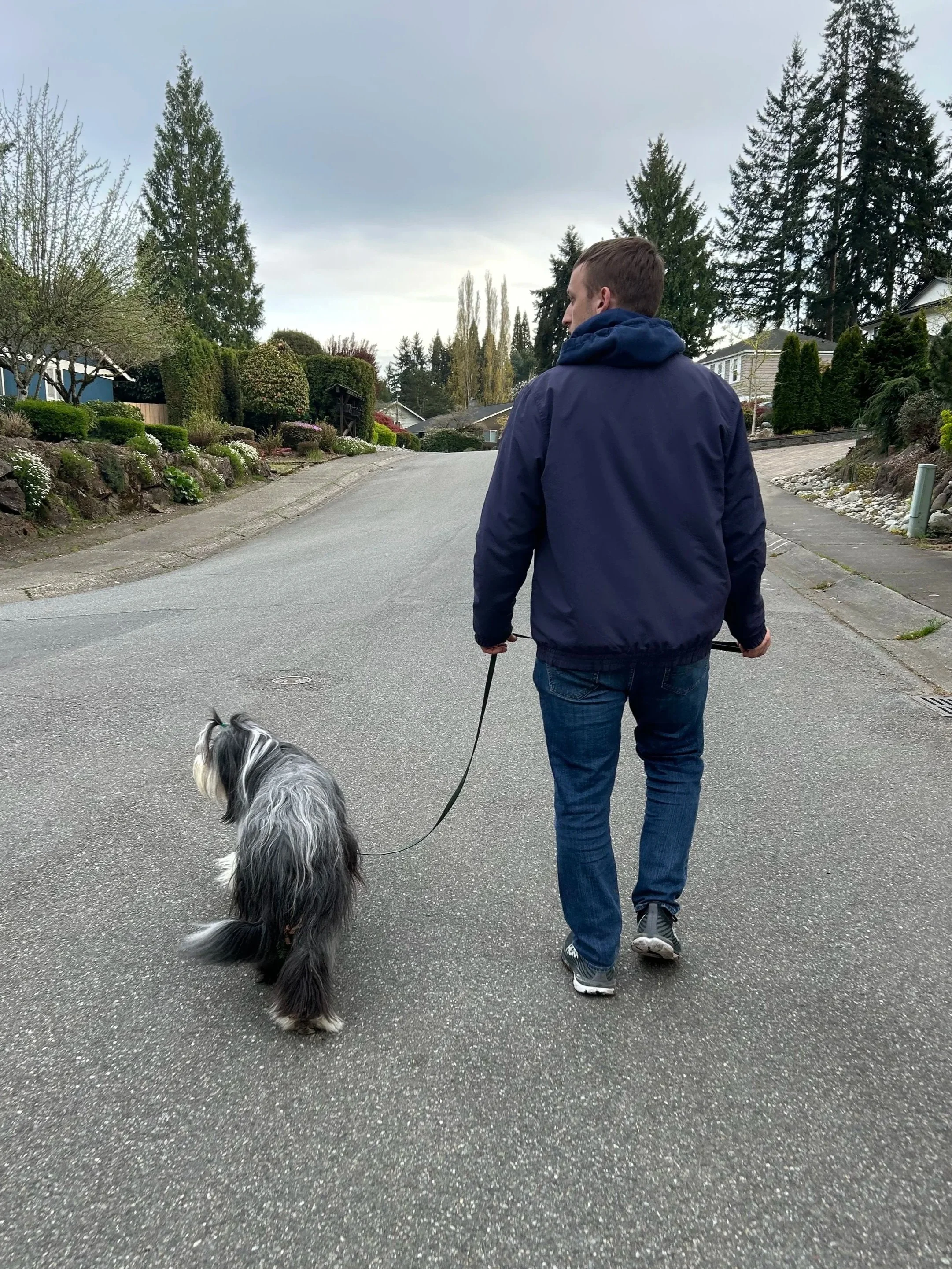Dog practicing loose leash walking at Kinship Dog Training workshop in North Bend WA