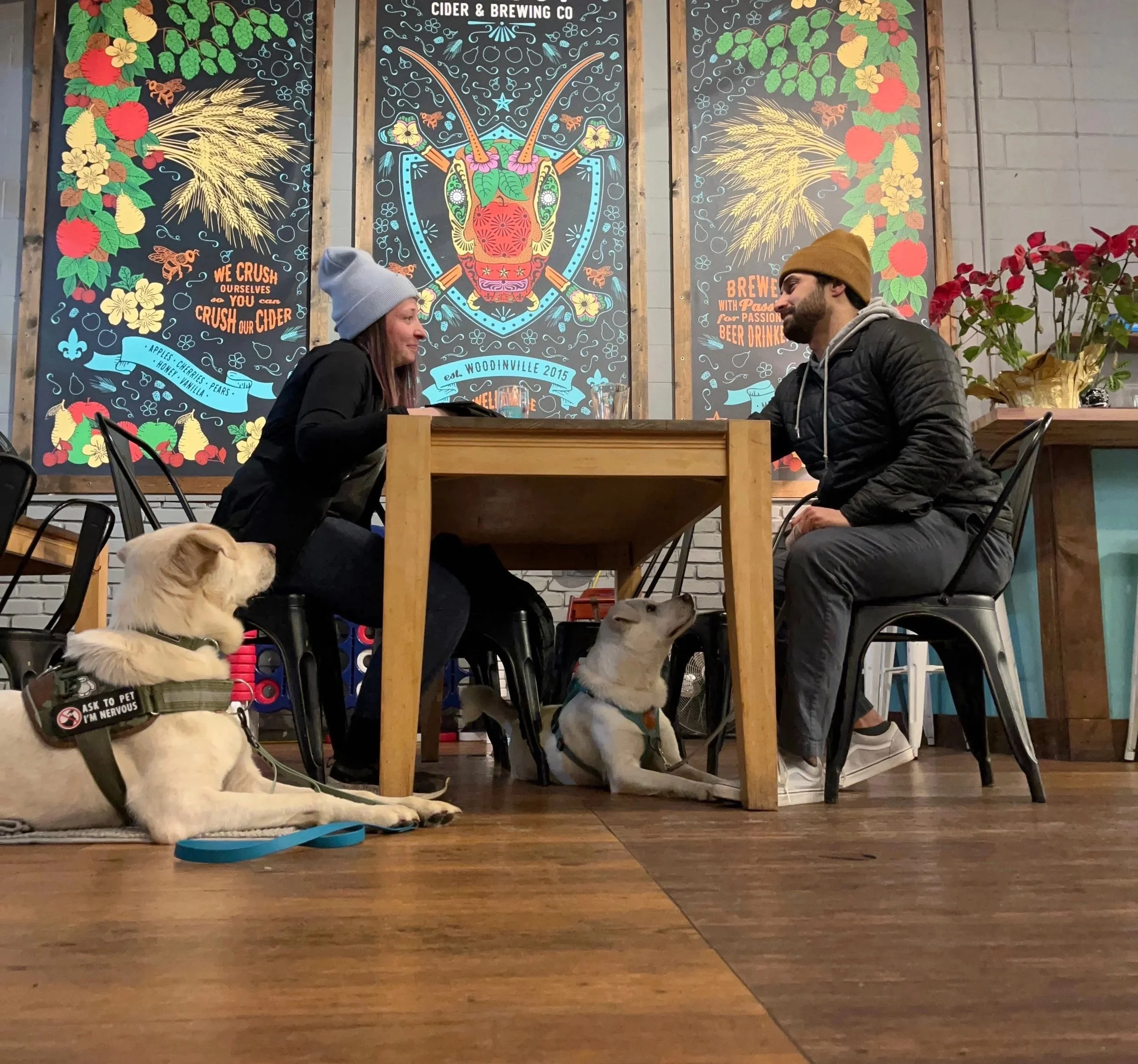 Two people and two dogs are remaining calm and in a cafe or brew pub, for brew paws advanced dog training class.