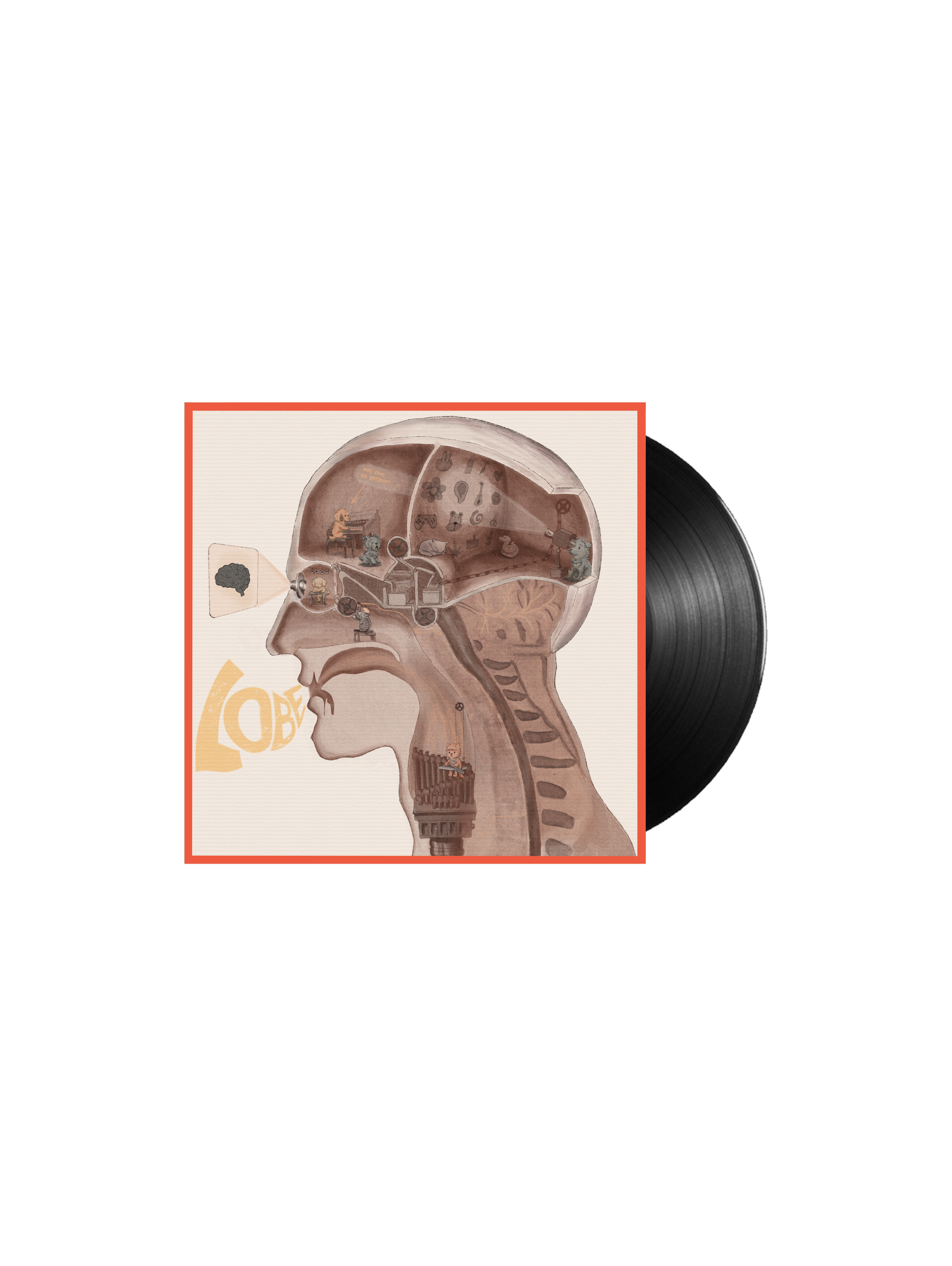vinyl.png