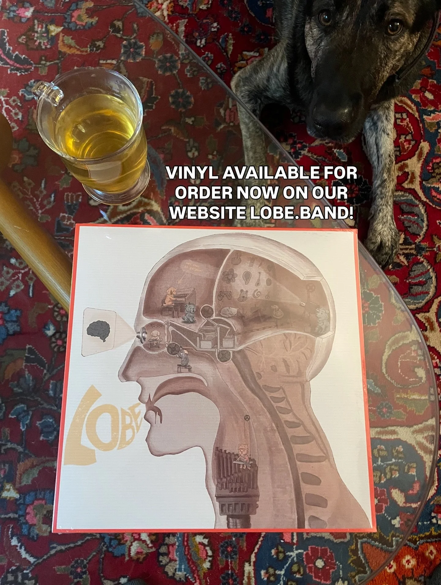 That&rsquo;s right, you can now buy the &ldquo;was that on purpose&rdquo; double LP online if you didn&rsquo;t get the chance during the tour. Just head to our website (link in the bio), smash add to cart, and we will personally mail you of your very