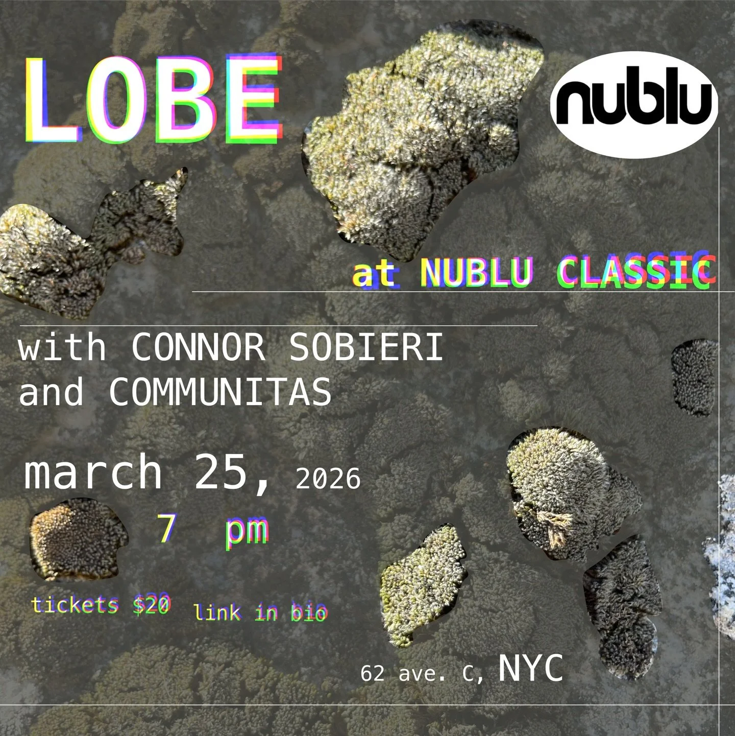 Northeast LOBE mini-tour! Who&rsquo;s in the mood for some bad weather, general agitation, and aggressive driving? 

We&rsquo;ll be playing songs from our recent album &ldquo;was that on purpose&rdquo; and some new stuff that will have you laughing a