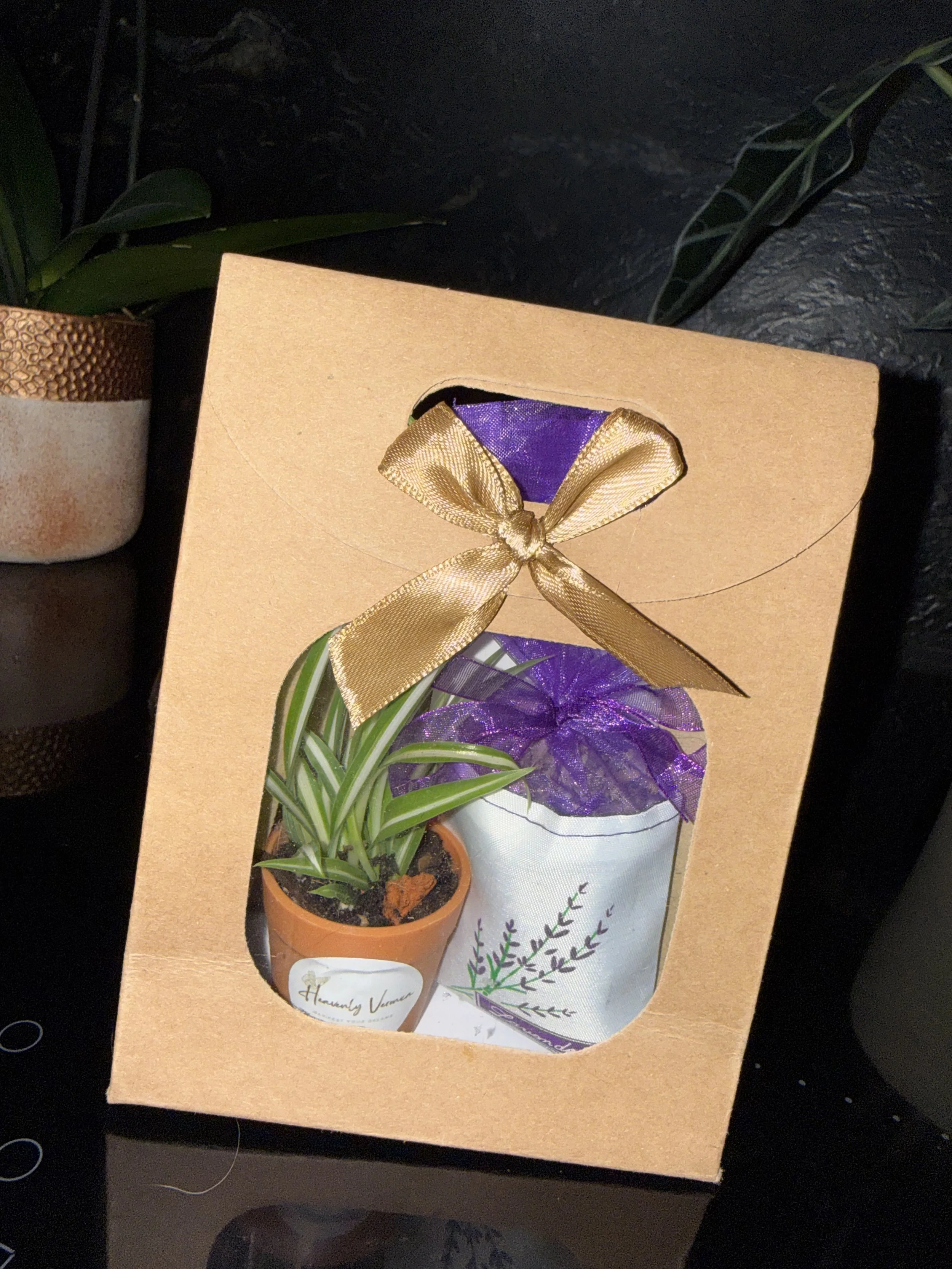 Plant and Lavender Gift Bag