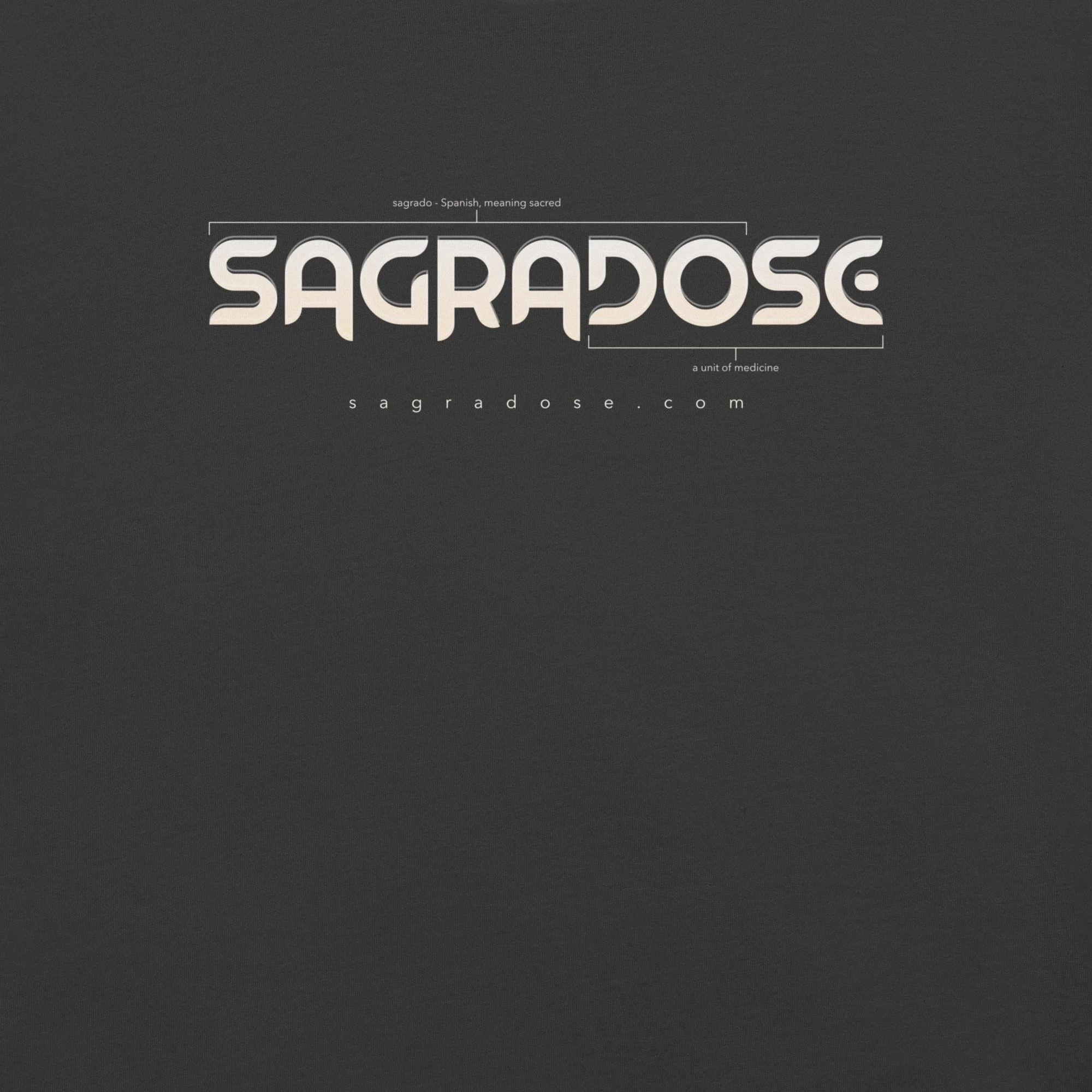 unisex-staple-t-shirt-dark-grey-front-6ab5d26e0dd89.jpg