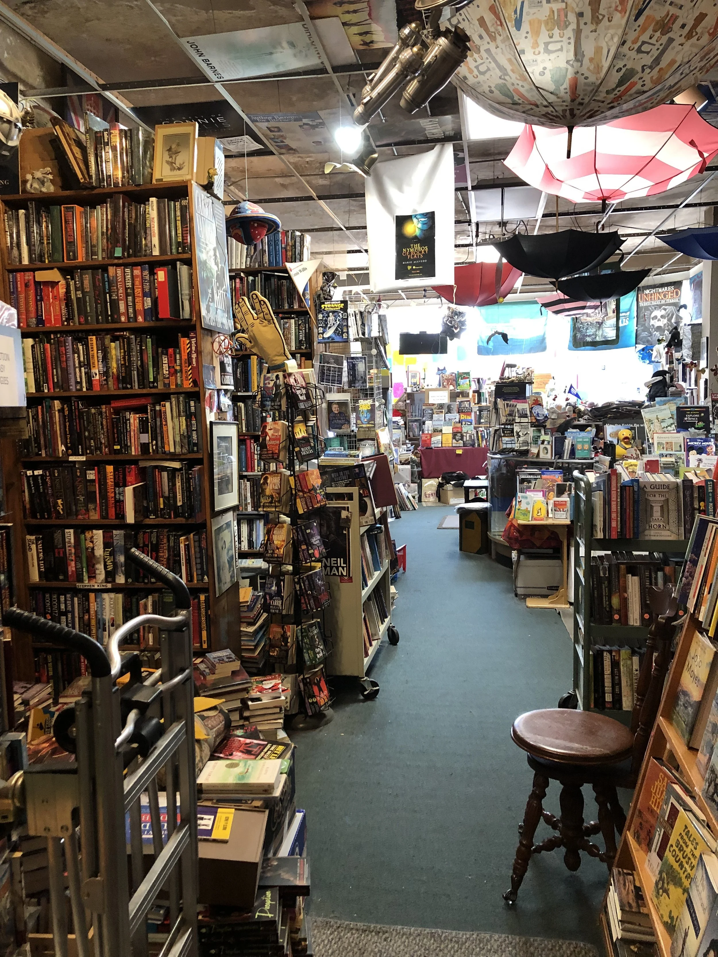 A used bookstore in Denver, CO featuring crowded shelves and umbrellas hanging from the ceiling