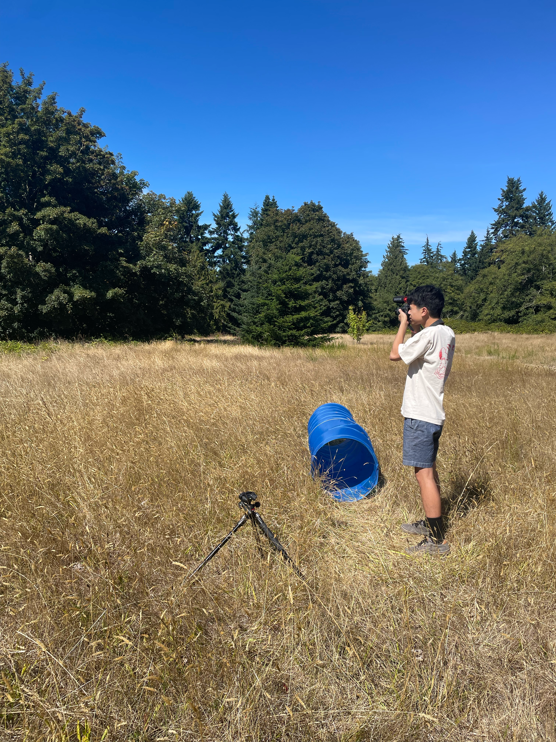 tempImagehUykCZ.png