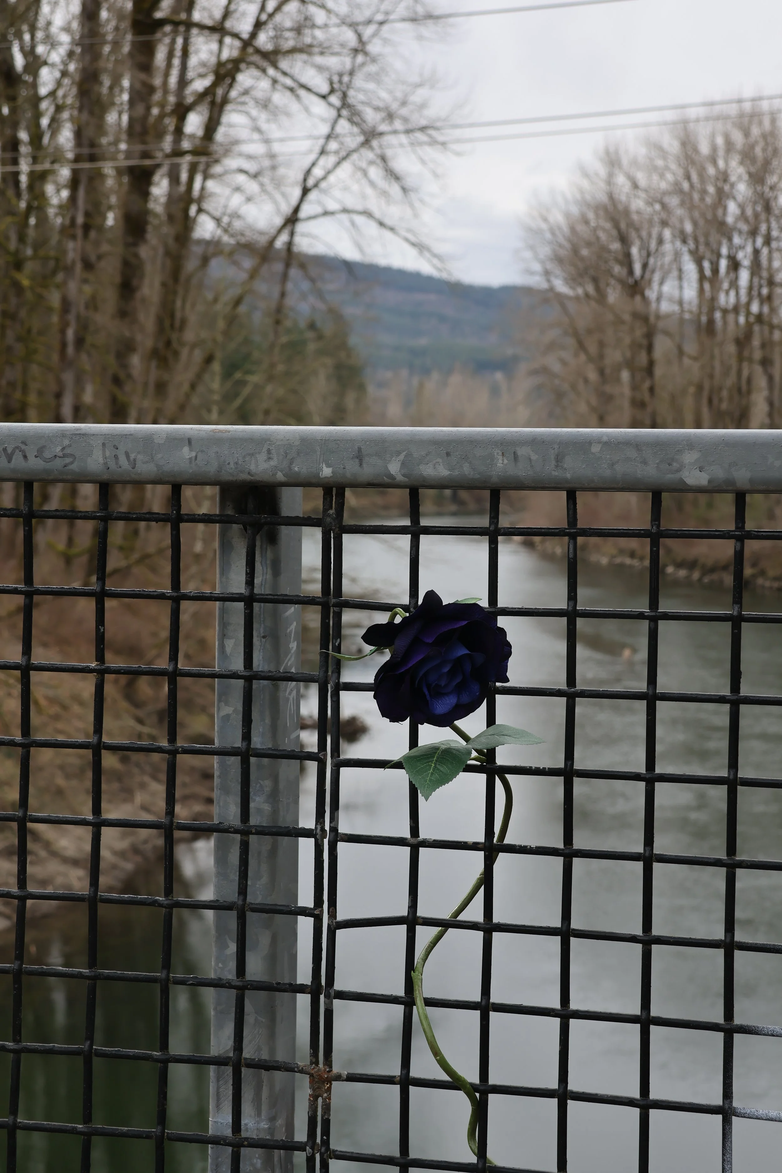 5O1A4669.JPG