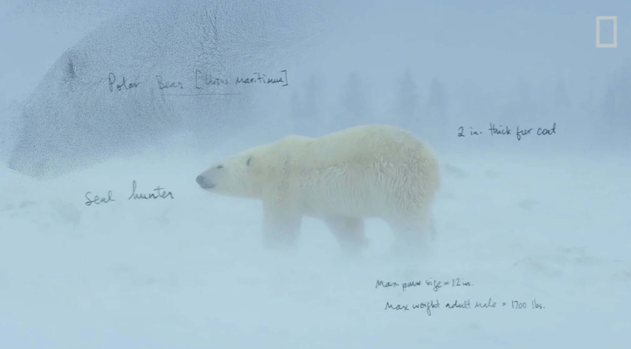 Screen Shot 2020-04-28 at 12.04.35 PM.JPG