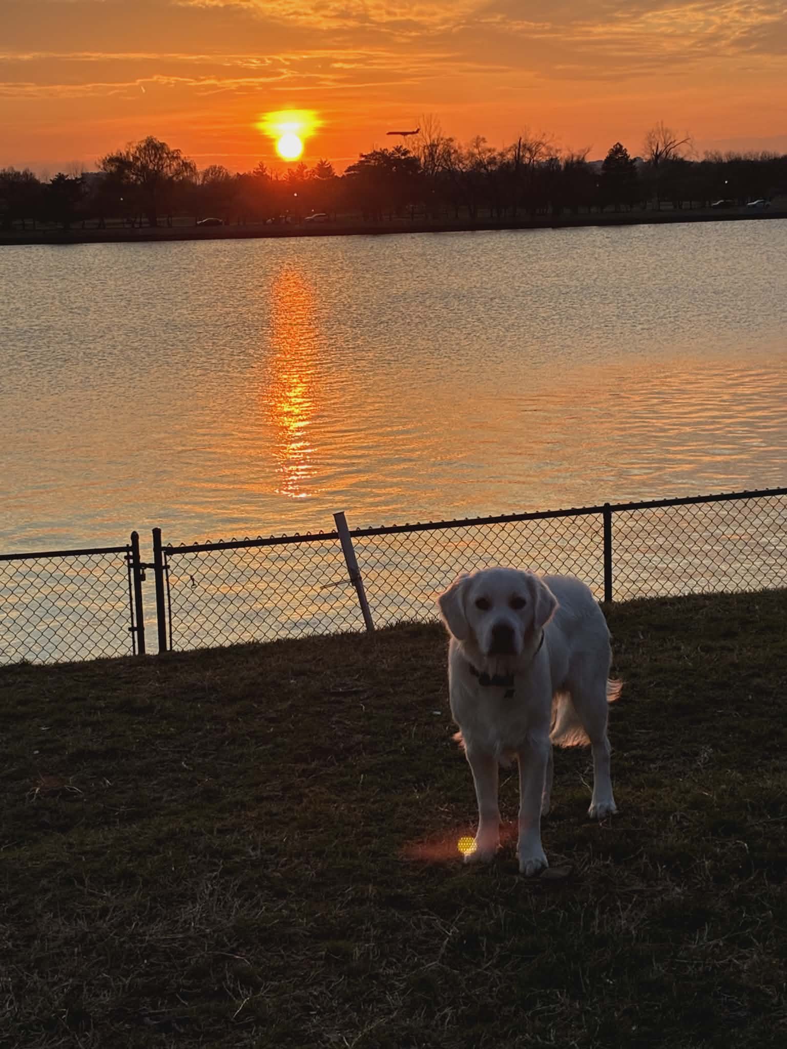 Barkley and DC Sunset