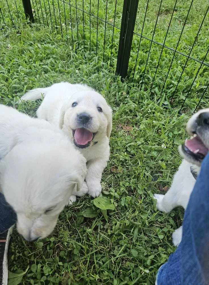 Play Time 2