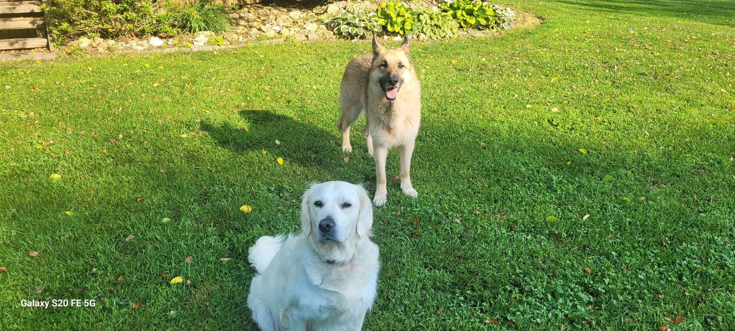 Layla with her friend Ranger