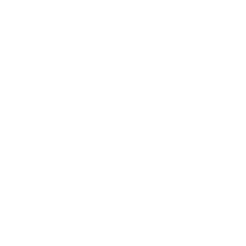 Logo with a crescent moon and flowers, accompanied by the text "Chassy's Moon Flower Reiki" on a black background.