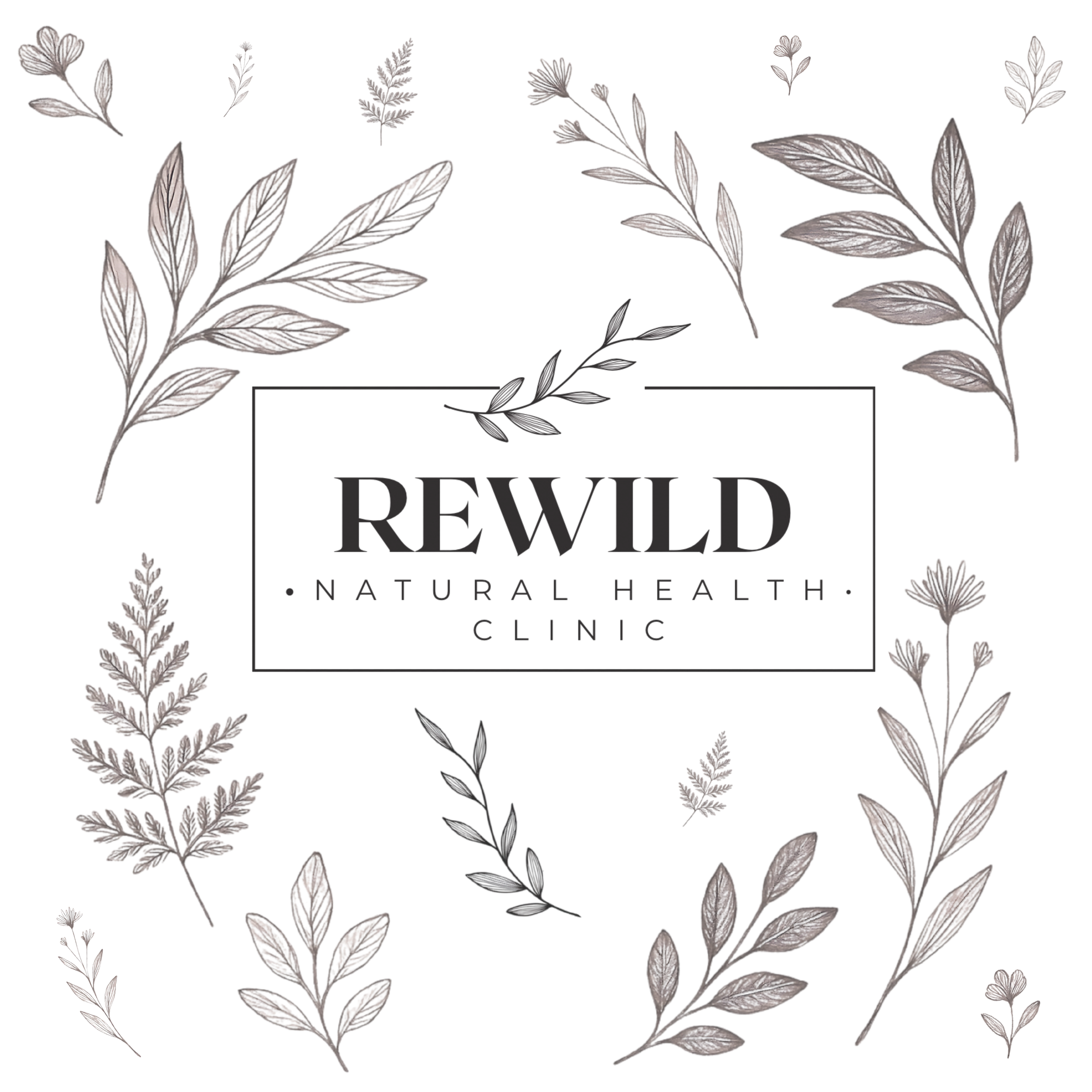 Logo for Rewild Natural Health Clinic with a black background and gray botanical illustrations framing the text