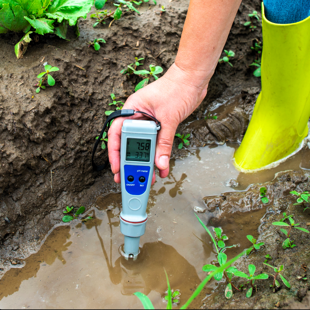 Persona tomando la acidez del suelo con un medidor de pH en un campo con plantas verdes y un chorrillo de agua.