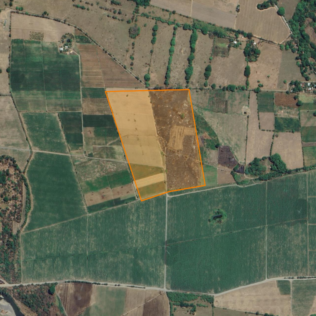 Imagen aérea de un terreno agrícola delimitado por una línea naranja, con parcelas de diferentes cultivos y árboles dispersos en el entorno.