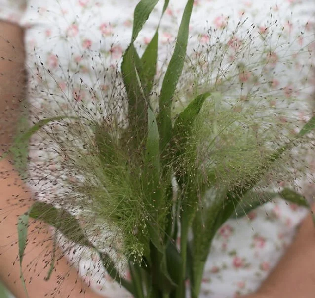 Grass: Frosted Explosion