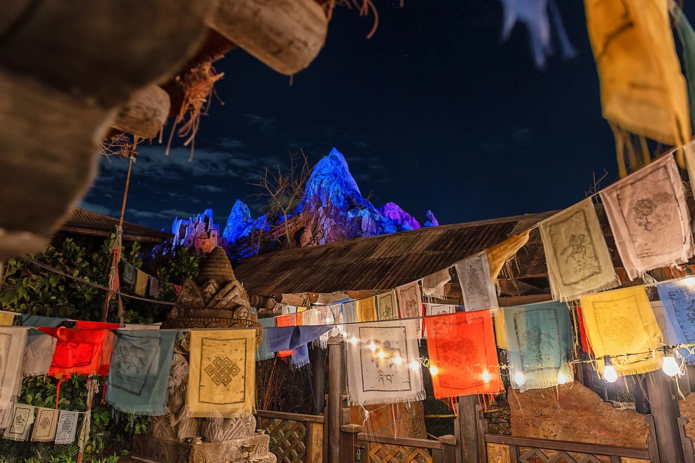 Everest Queue Night.jpg