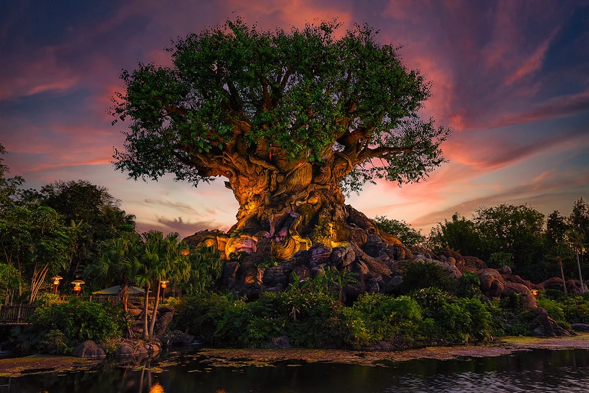 TreeOfLifeSunset.jpg